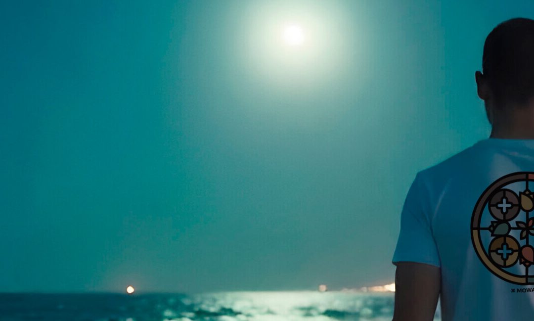 Camisetas de manga corta y sudaderas online con estilo surfer y skate